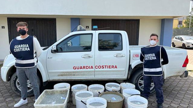 Alto Jonio, maxi sequestro di sardella e 25mila euro di multa al trasgressore