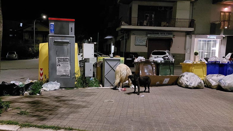 Forti raffiche di vento a Co-Ro: qualche incidente e molta paura