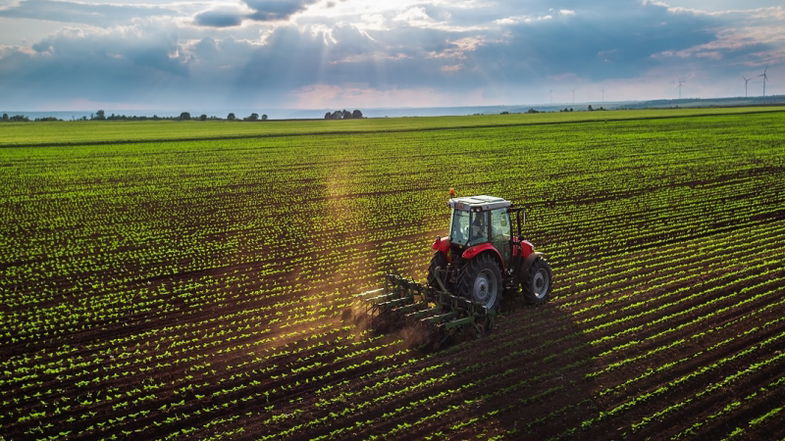 Dalla Regione oltre 31 milioni di euro in arrivo per gli agricoltori calabresi 