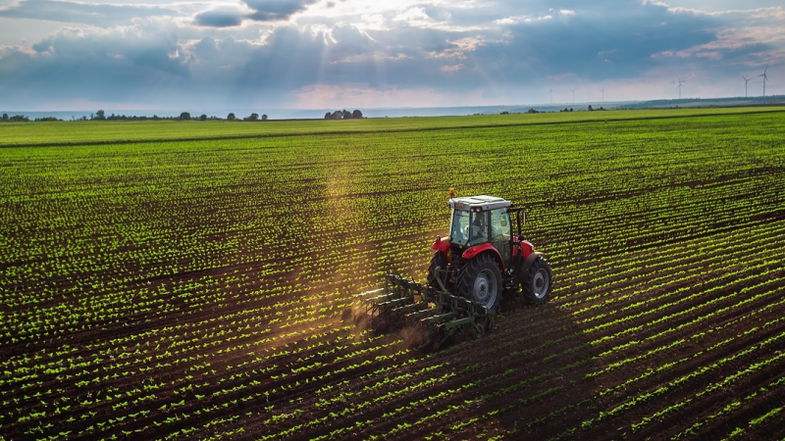 Dalla Regione oltre 31 milioni di euro in arrivo per gli agricoltori calabresi