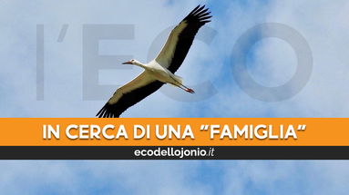 Parte la campagna 