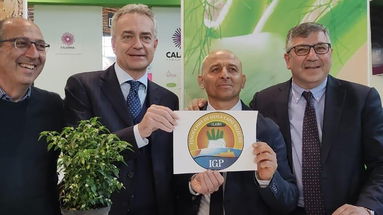 La Calabria in giro per il mondo: dopo il Vinitaly e il Seafood Expo approda al Macfrut di Rimini 