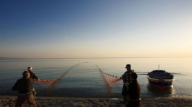 Sulle nostre tavole «si consuma pesce spada marocchino, mentre ai nostri pescatori è vietato pescarlo» 