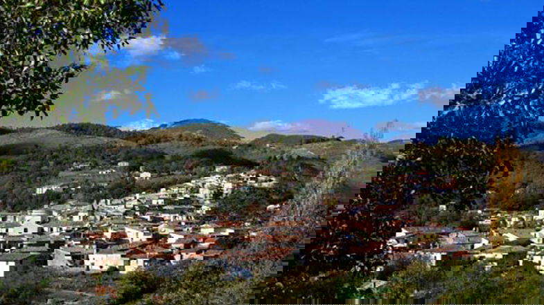 Assemblea del Consorzio Sviluppo Valle Lao: 20 aziende del territorio si confrontano
