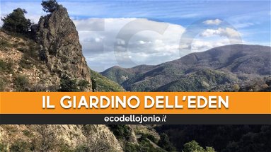 L'alta valle del Colognati: un paradiso di biodiversità