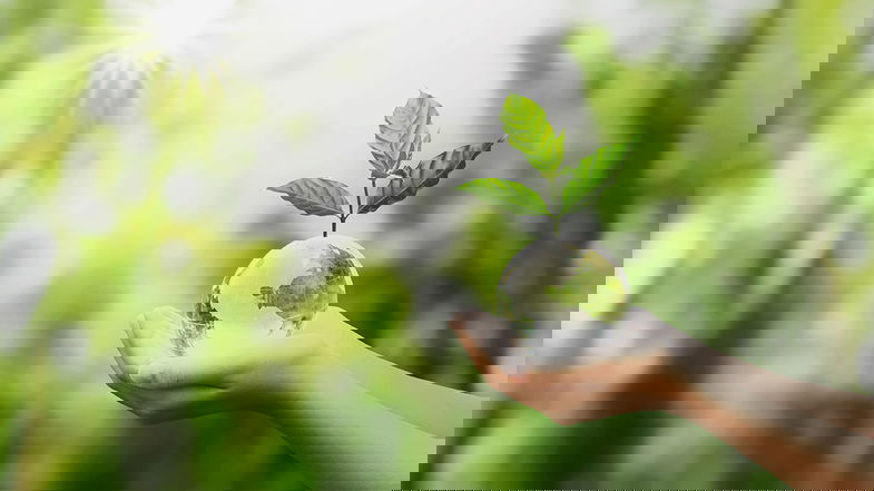 Diffondere la cultura ambientale tra le nuove generazioni: domani l’incontro “100 Idee per l’ambiente”