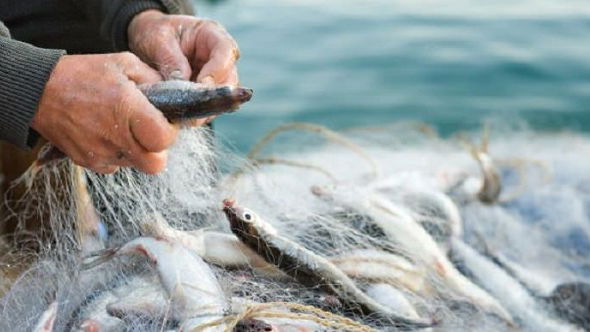 Caro gasolio, al via la protesta della marineria di Schiavonea