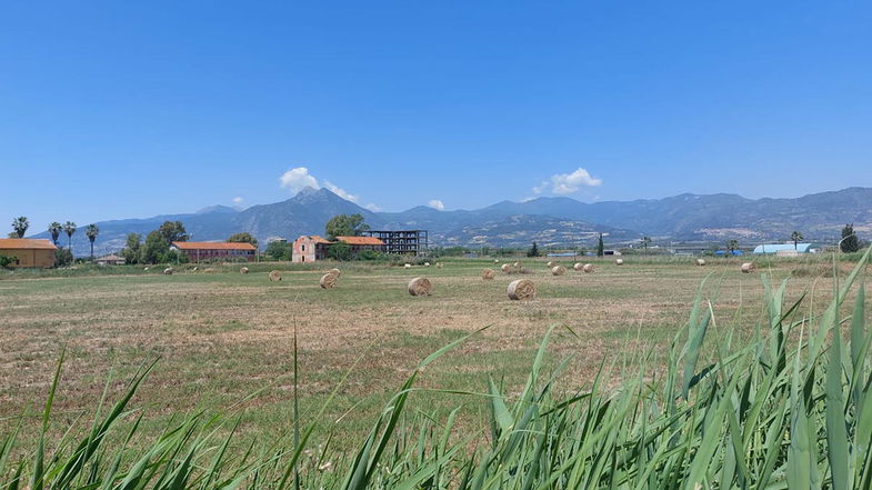 Una domenica fuori porta spendendo poco, partendo da Rossano: tra mare, arte e buon cibo 