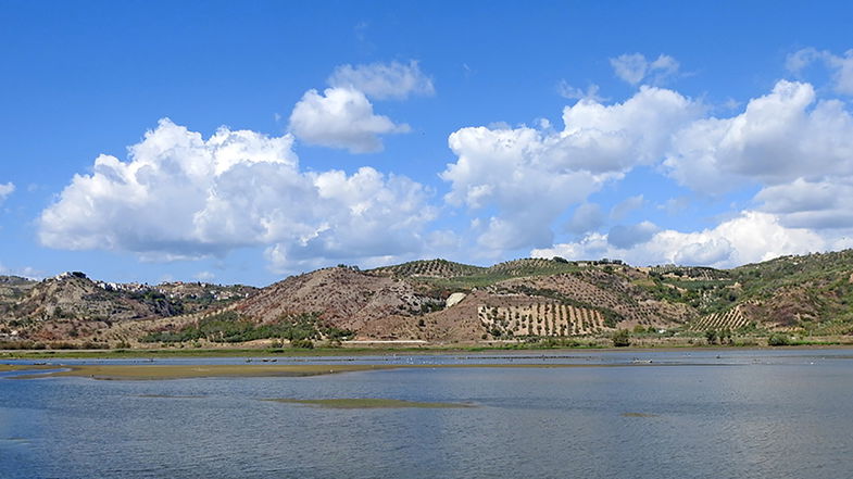 La fotografia incontra la natura: domani il workshop presso la Riserva naturale del Lago di Tarsia