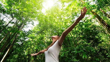 Al Parco nazionale della Sila prende il via la “Foresta terapia” contro ansia e stress