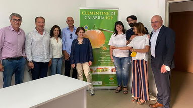 La governance del Consorzio Igp delle clementine di Calabria incontra la politica: «Aria di innovazione»