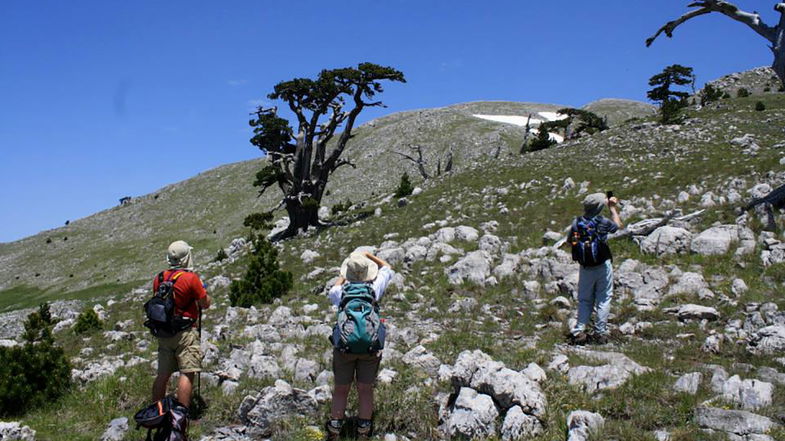 Alla scoperta del Parco nazionale del Pollino… a piedi: ecco l’escursione imperdibile