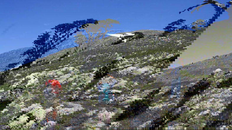 Alla scoperta del Parco nazionale del Pollino… a piedi: ecco l’escursione imperdibile