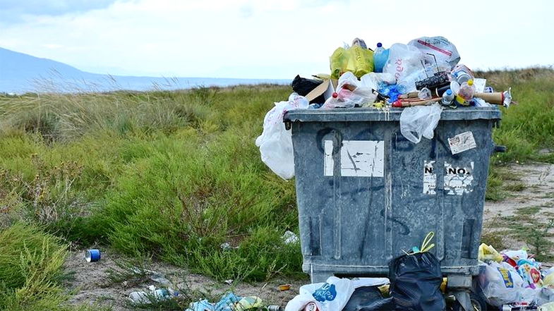 I consiglieri comunali di opposizione: « Cariati sembra una discarica a cielo aperto!»