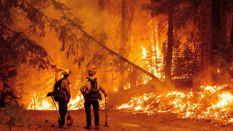 Piano antincendi e rilancio occupazionale, al centro del confronto tra Regione e sindacati