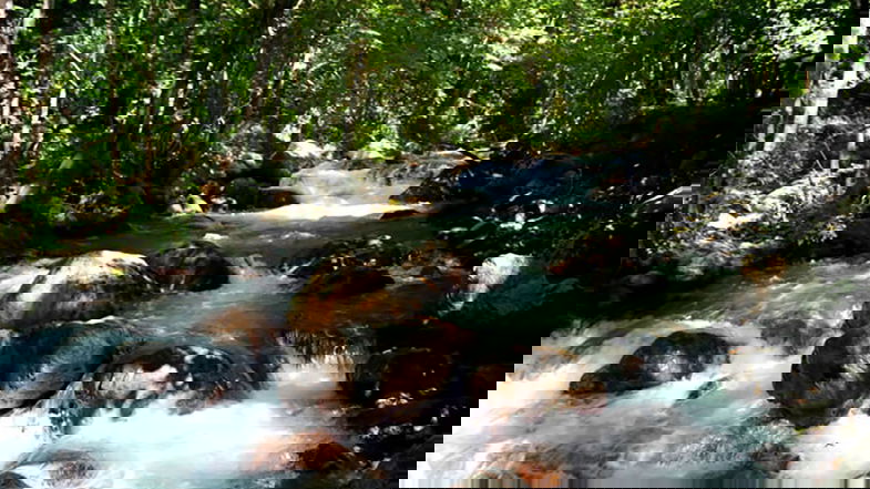 Pollino, tra la fauna e la flora più incontaminata: la Riserva naturale “Valle del fiume Argentino”