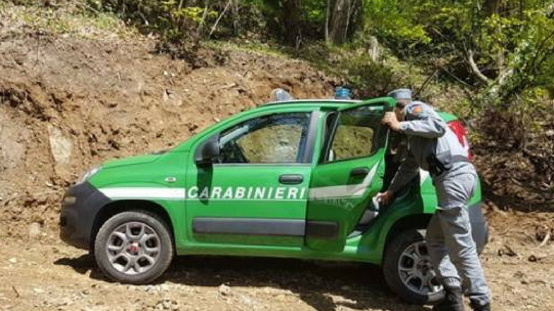 Tentò di uccidere due guardie forestali, condanna definitiva per un 49enne rossanese