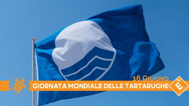 La presenza delle tartarughe dice che tutte le nostre spiagge sono potenziali Bandiere Blu. Il problema sono i servizi