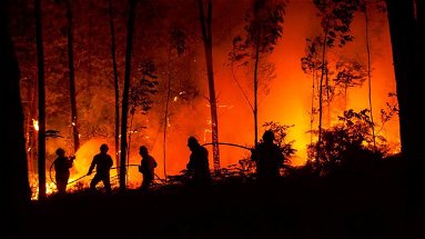 Prevenzione incendi: Regione, Anas e Prociv insieme per contrastare il fenomeno 