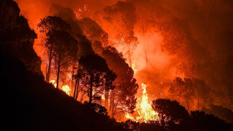 Il nuovo piano antincendi boschivo: dalla regione un nuovo sistema di prevenzione