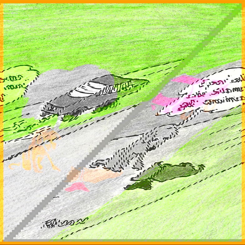La Vignetta dell'Eco