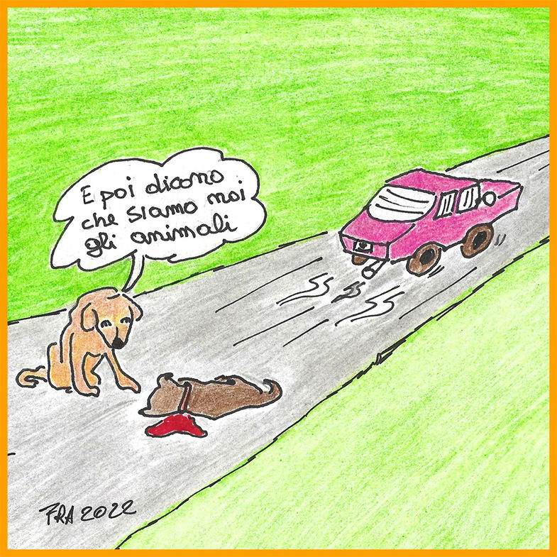 La Vignetta dell'Eco