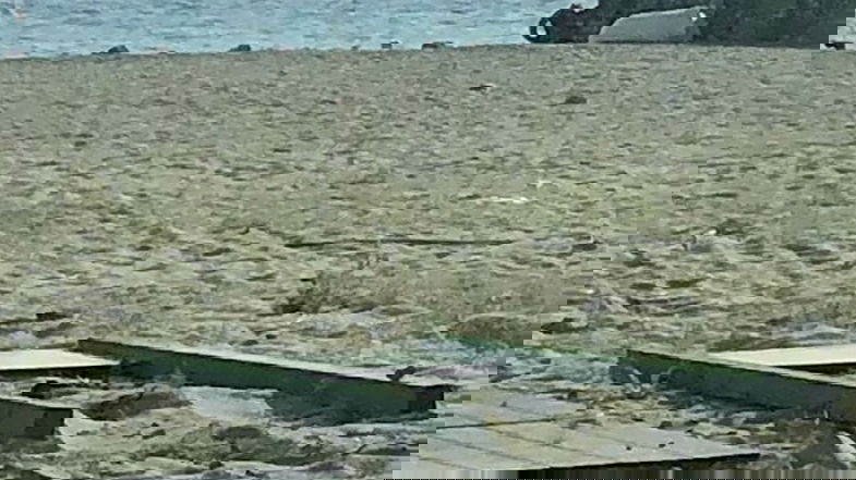 Schiavonea, vandalizzata la segnaletica balneare per disabili: «Gesto ignobile»