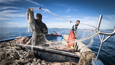 Sblocco UE degli aiuti per i pescatori calabresi, il plauso dei politici del territorio