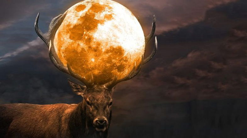 Arriva la notte più luminosa del 2022 con la Superluna del Cervo