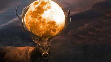 Arriva la notte più luminosa del 2022 con la Superluna del Cervo