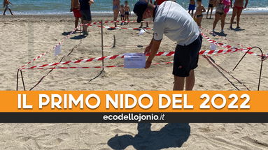 Stanotte sulle spiagge di Thurio una 