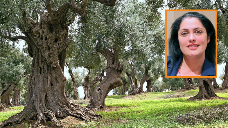 Adele Olivo esprime disappunto in merito alla vicenda Città dell'Olio