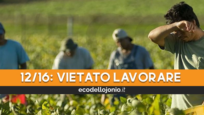 Settore agricolo, vietato lavorare nelle giornate ad alto rischio dalle 12 alle 16