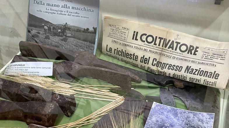 Inaugurato a Cariati il Museo del Mare, dell’Agricoltura e delle Migrazioni