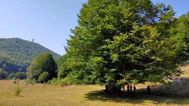 Dieci semplici regole per vivere la montagna in serenità... divertendosi