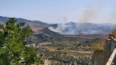 Scala Coeli, la BioValle del Nicà è accerchiata dal fuoco