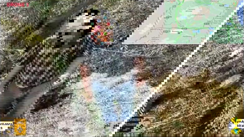 Foto del piromane pubblicata da Occhiuto: l'incendio appiccato a Spezzano Albanese