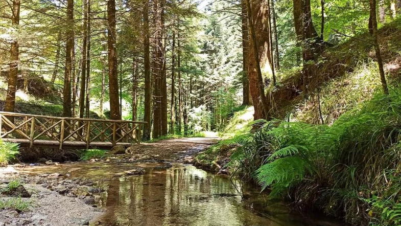 CorriCastrovillari, tanto l’impegno per la Corri a Rocca e per la Trail della Certosa 