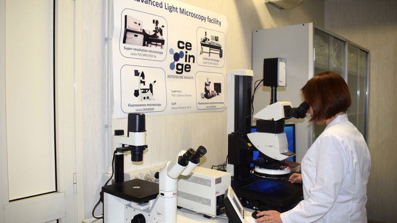 Biomedicina, Straface orgogliosa e soddisfatta per la selezione dei Licei di Co-Ro