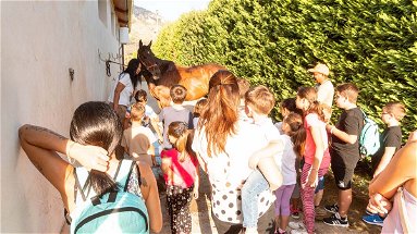 Una vita a cavallo, il centro ippico di Frascineto apre le porte ai bambini