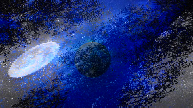 Occhi al cielo, arriva la Luna piena del Raccolto: sabato l'imperdibile spettacolo