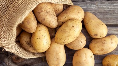Valorizzare la patata silana Igp: al via il concorso per i ristoratori e i produttori agroalimentari della Sila