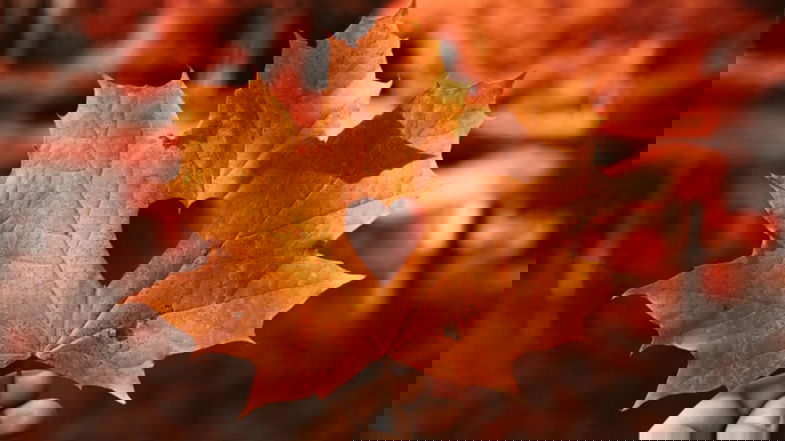 Benvenuto Autunno: con l'equinozio di settembre salutiamo la bella stagione