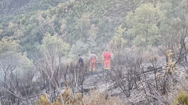 Campana, domato l’incendio in prossimità dell’Incavallicata