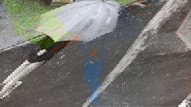 Allerta meteo, a Policoro scuole chiuse