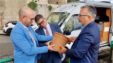 L’ulivo della legalità arriva in Calabria: un simbolo itinerante per ricordare Falcone e Borsellino