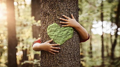 Crescita della competitività a tutela dell’ambiente, evento di UnionCamere Calabria