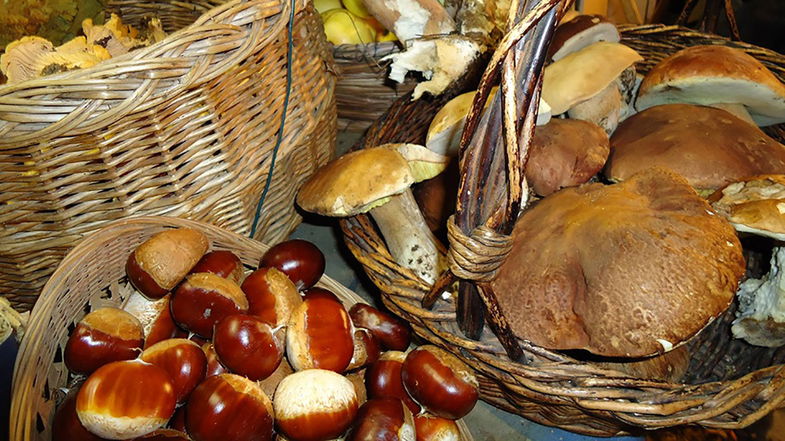 L’autunno in Calabria: un miriade di colori e profumo di funghi e di castagne 