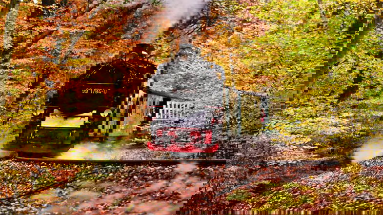 Autunno a vapore in Sila: un'esperienza nel foliage sul magico Treno storico