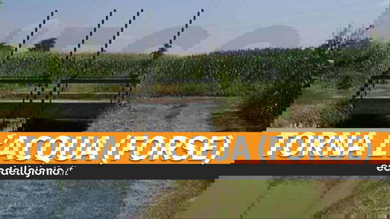 Saranno ripristinate le reti irrigue dei Consorzi di Bonifica: una notizia storica per l'agricoltura